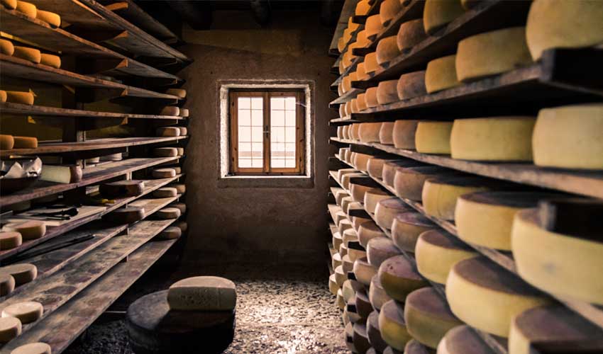 nemea residences les avis producteurs locaux fromages alpes