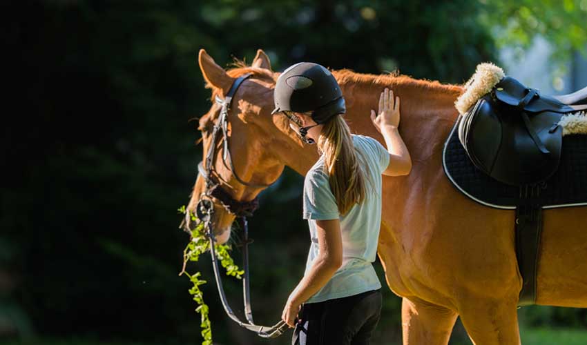 sowell sejours equitation