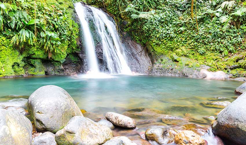 Le parc National de Guadeloupe - réserve mondiale de la biosphère