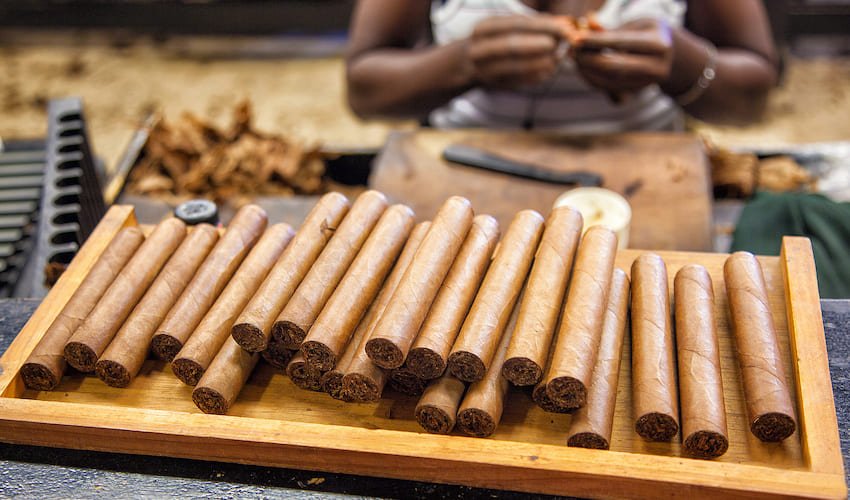 Fabrication artisanale de cigares