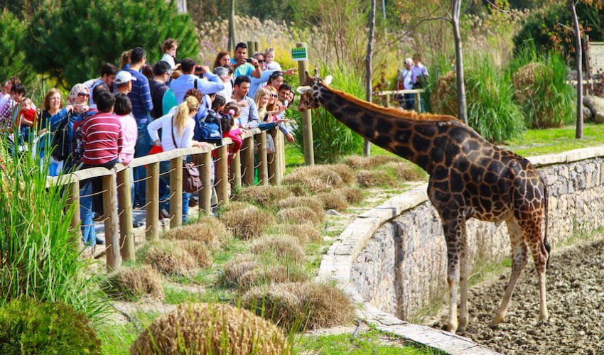 Passer l’après-midi en famille au Izmir Wildlife Park