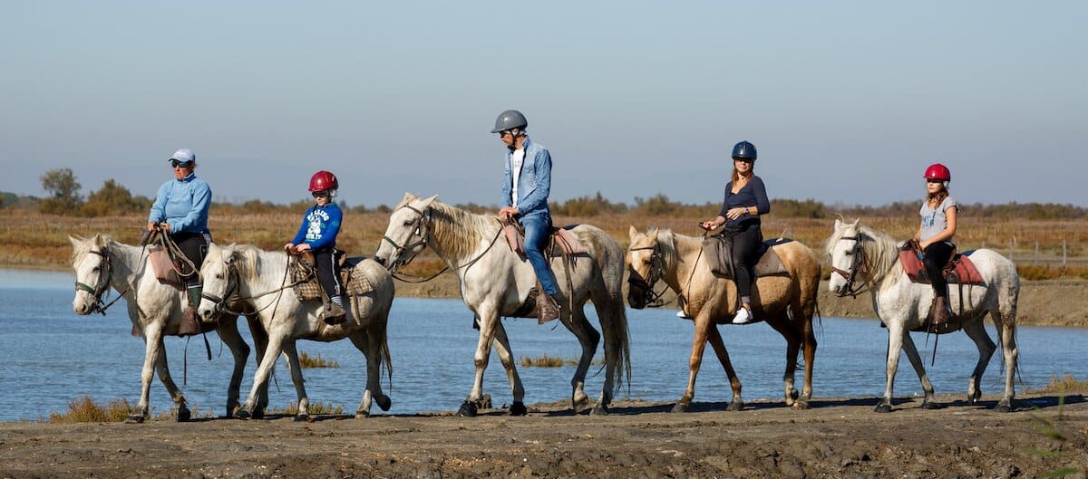 Une famille en week-end en Camargue fait une balade à cheval.