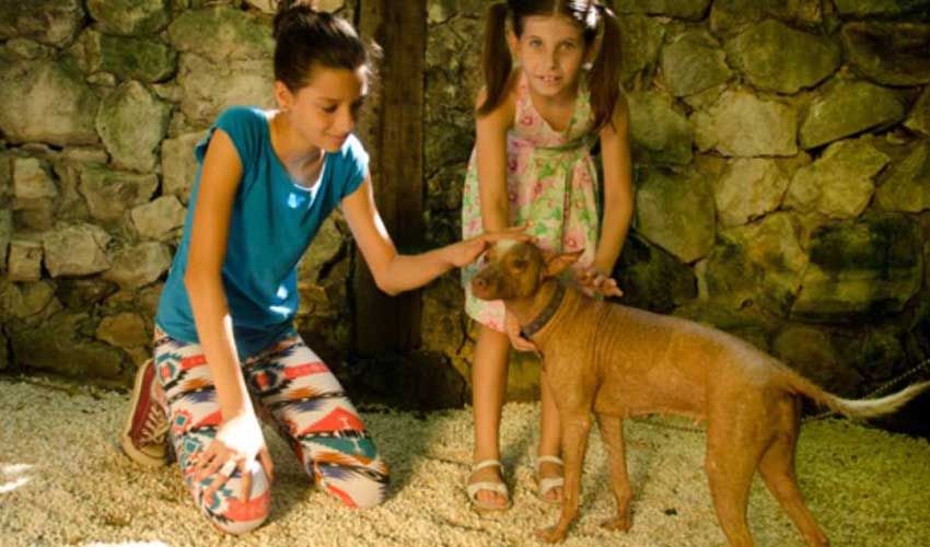 Jeunes filles attrapant un animal au zoo de croco cun au Mexique