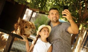 7 Meilleurs zoos en Europe, au Mexique, aux Etats-Unis et en Australie sur Get Your Guide