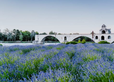 Visiter la Provence en famille en résidence Lagrange