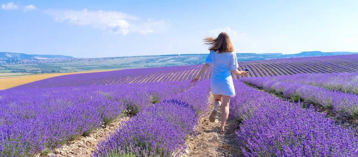 Une jeune femme court dans un champ de lavande lors de vacances en famille en provence.