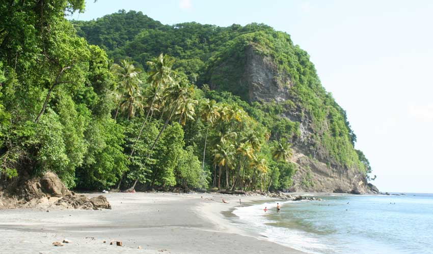 Anse Couleuvre : plage Martinique