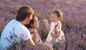 Quoi faire en Provence Alpes Côte d’Azur ? 26 choses à voir en région PACA