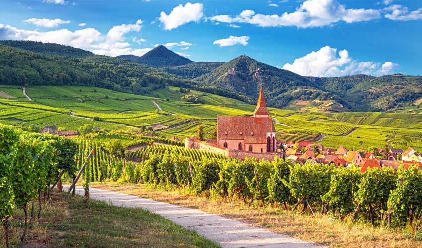 Visite guidée des plus beaux villages d'Alsace