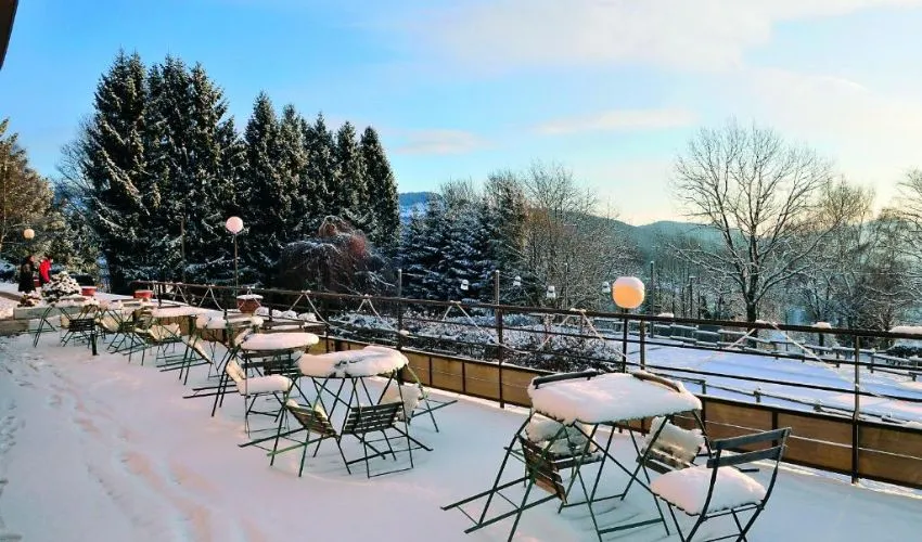 Les Fougères : les plus de l'hébergements