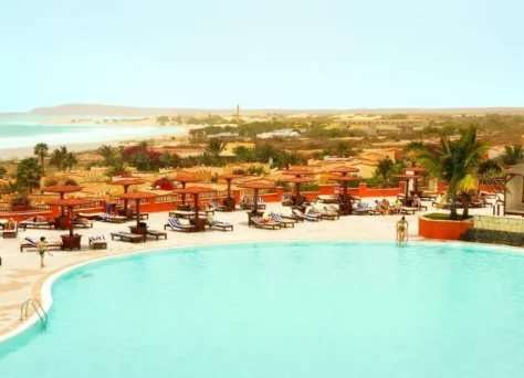 Royal Baobab : les +