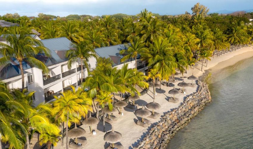 The Ravenala Attitude