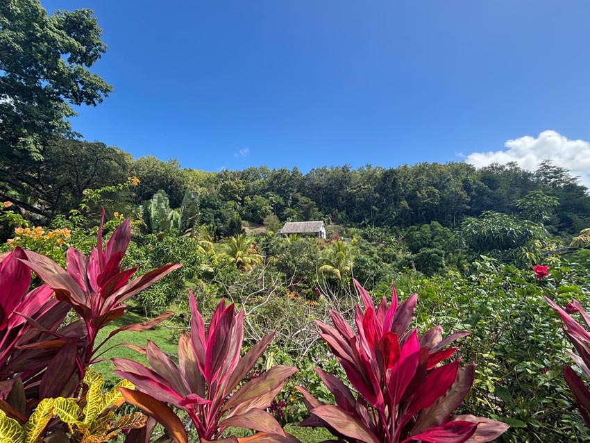La savane des esclaves
