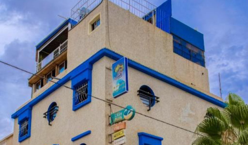 Dinosaur Anza Surf House