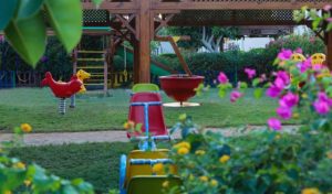 Sea Star Beau Rivage