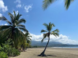 Test et avis Holafly lors de nos séjours à Bali, en Thaïlande et au Costa Rica
